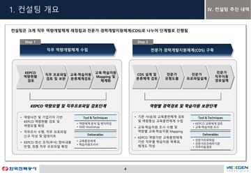 컨설팅 개요